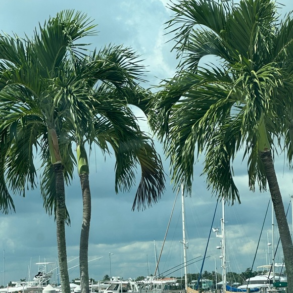 $30$ Any 3 items priced $15 or under now $30!!! - Picture 1 of 1